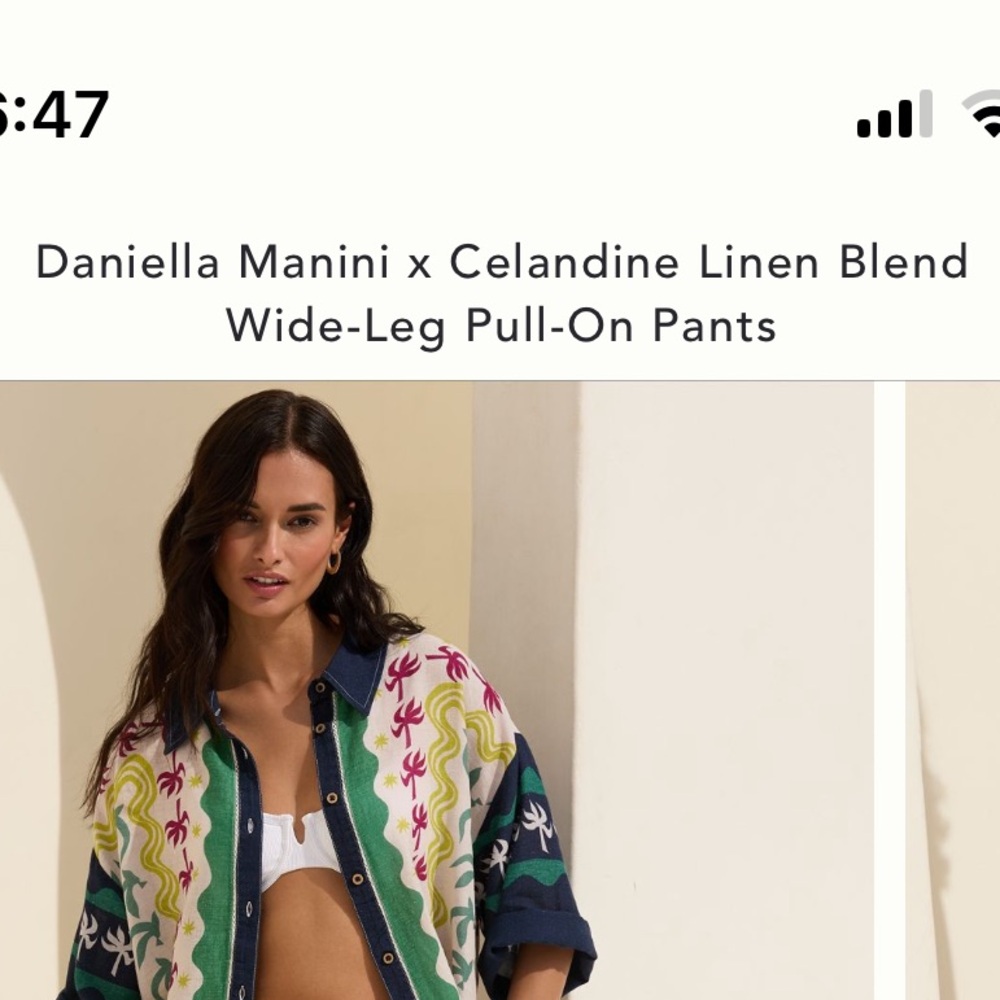 Daniella Manini x Anthro  Summer Linen Wide-Leg Pants - Picture 4 of 6